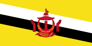 Image of Brunei flag