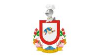 image of Colima flag