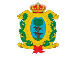 image of Durango flag