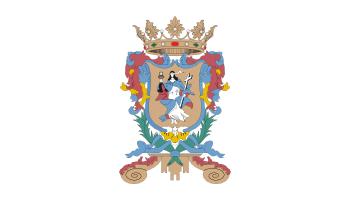 image of Guanajuato flag