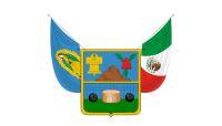 image of Hidalgo flag