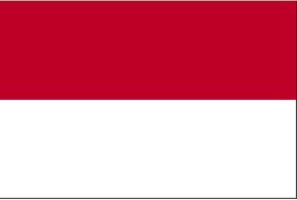 Image of Indonesia flag