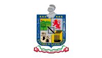 image of Nuevo Leon flag
