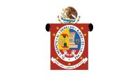 image of Oaxaca flag