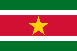 Image of Suriname flag