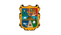 image of Tamaulipas flag